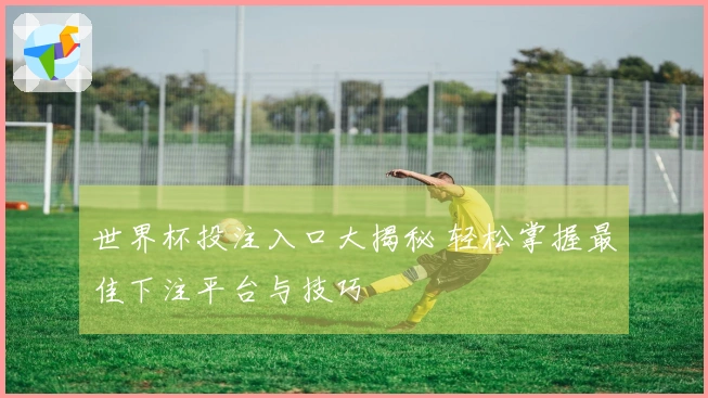 世界杯投注入口大揭秘 轻松掌握最佳下注平台与技巧