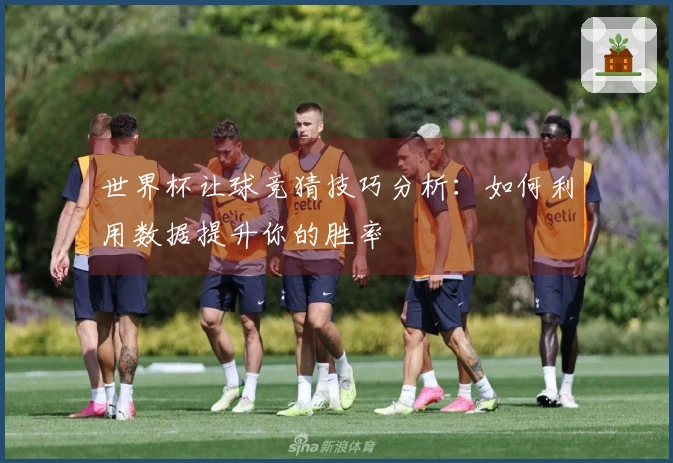 世界杯让球竞猜技巧分析：如何利用数据提升你的胜率