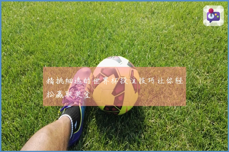 精挑细选的世界杯投注技巧让你轻松赢取奖金
