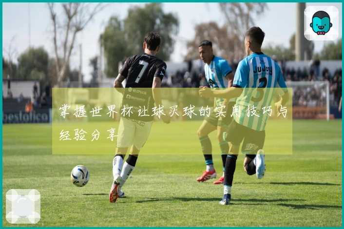 掌握世界杯让球买球的实用技巧与经验分享