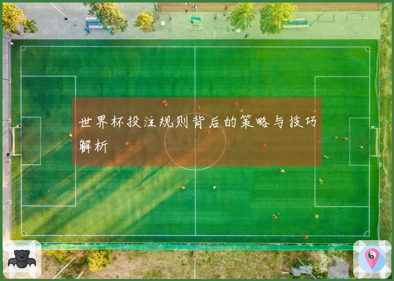 世界杯投注规则背后的策略与技巧解析