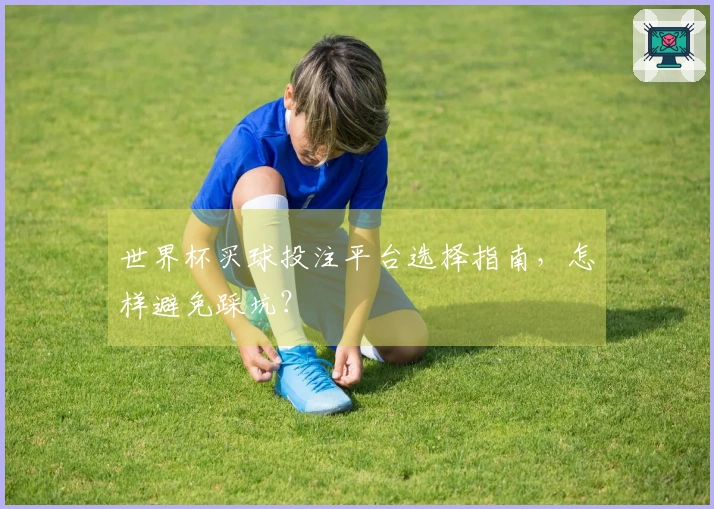 世界杯买球投注平台选择指南，怎样避免踩坑？
