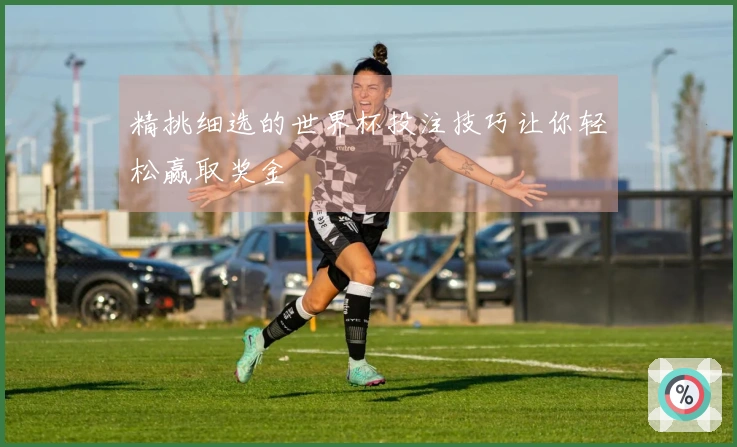 精挑细选的世界杯投注技巧让你轻松赢取奖金